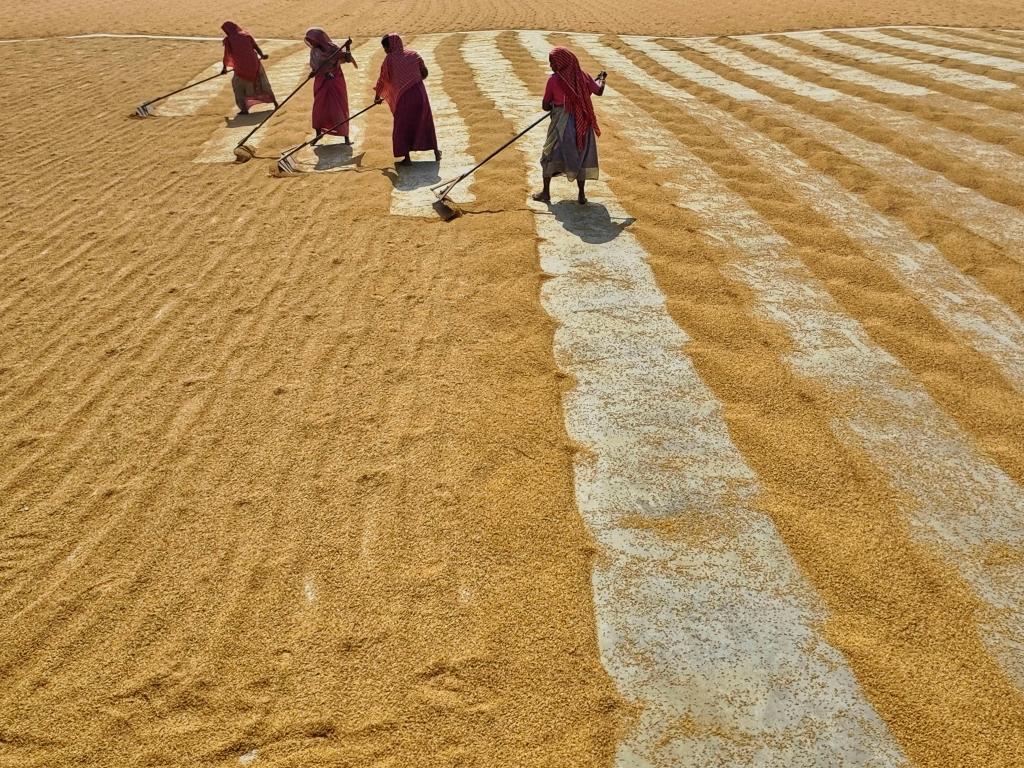 Women working agriculturally